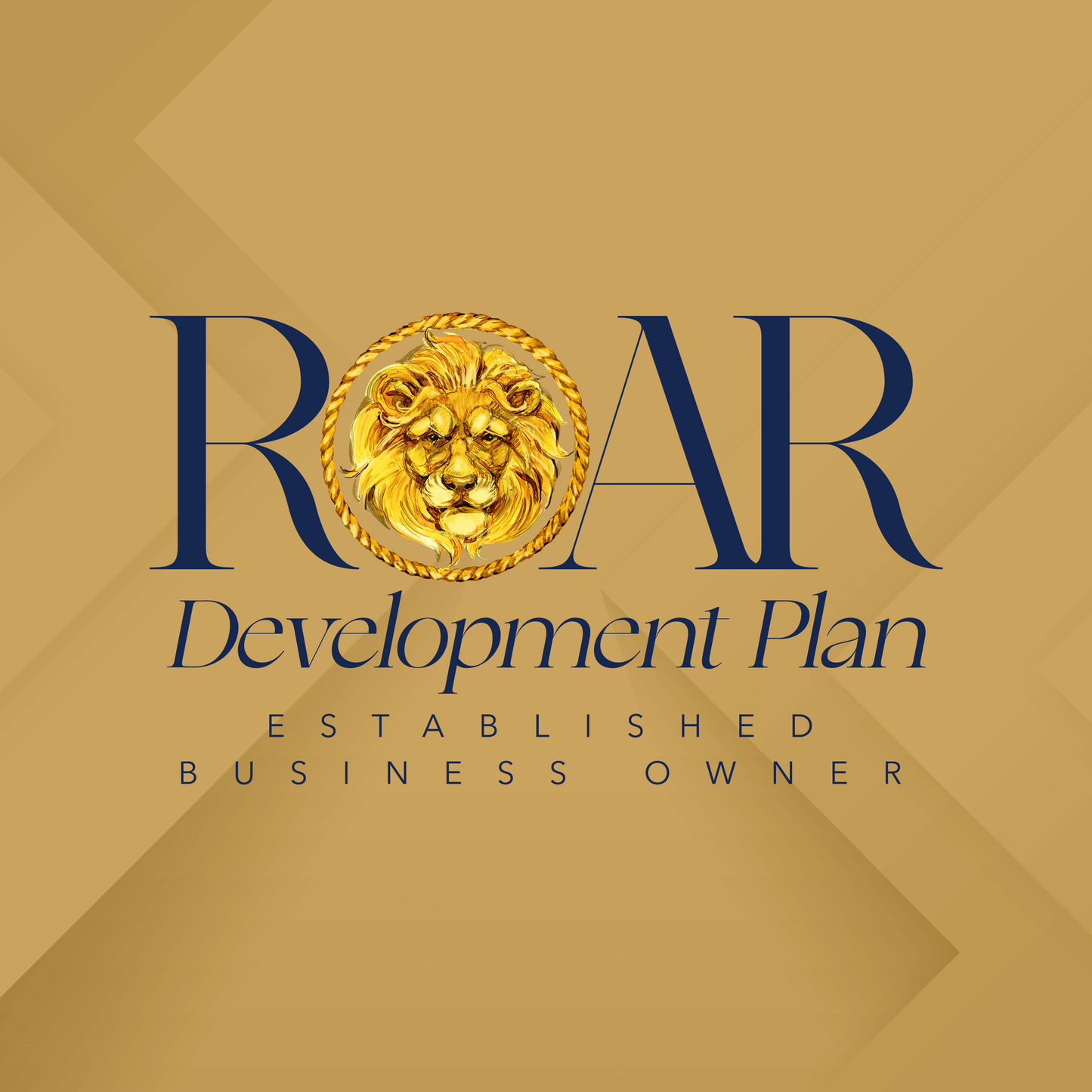 (Entrepreneur) ROAR Established Business Owner Professional Development Plan
